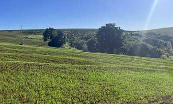 Imagem: Fazenda Centenária à venda na região