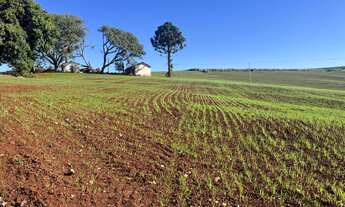 Imagem 4: Fazenda Centenária à venda na região de Taquarituba SP . Com 47 Alqueires plantando hoje
