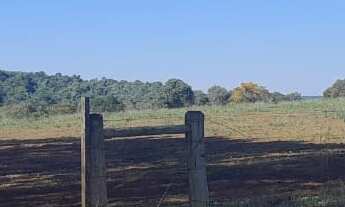Imagem 6: Fazenda localizada no município de Paranapanema/SP. Com 73 alqueires e acesso de 11 km de