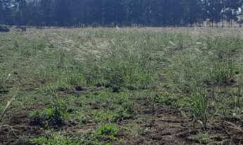 Imagem 2: Fazenda localizada no município de Paranapanema/SP. Com 73 alqueires e acesso de 11 km de