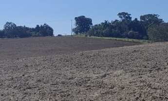 Imagem 5: Fazenda localizada no município de Paranapanema/SP. Com 73 alqueires e acesso de 11 km de