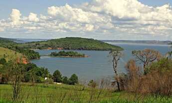 Imagem: Fazenda à venda em Piraju/SP Com 120 alqueires