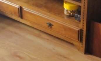 Imagem 7: Excelente apartamento à venda localizado próximo ao Habib`s da rua Tirol, em prédio único