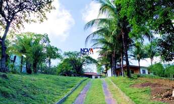 Imagem: Com que frequência você pensa em comprar