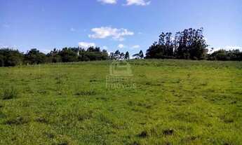 Imagem 3: Chácara no Interior de Formigueiro