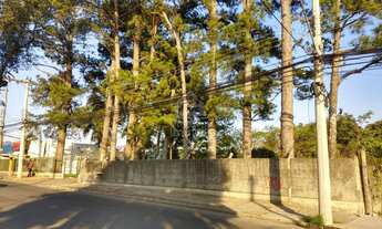 Imagem 3: Terreno certo para você investir