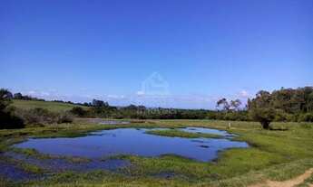 Imagem 4: Chácara no Interior de Formigueiro