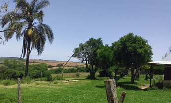 Imagem 7: São 8 Hectares para plantio e 2 hectares com casa, pomar galpão, açude pequeno