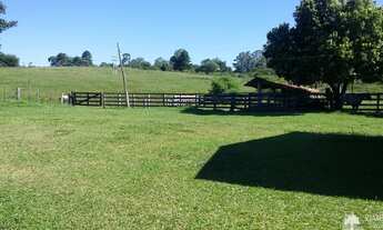 Imagem: Sítio Sossegado Pecuária - São Pedro