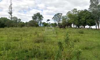 Imagem 2: Terreno à venda Boi Morto Santa Maria/RS