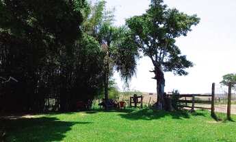 Imagem: São 8 Hectares para plantio e 2 hectares