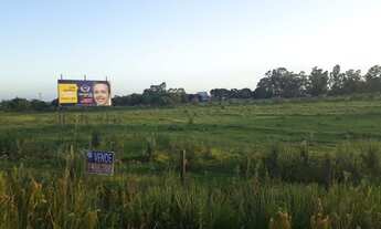 Imagem: Área com 4,88 Hectares no trevo de acesso