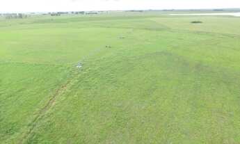 Imagem 5: Fazenda com 1767ha com 2 sedes Pecuária 1° e Plantio Arroz- Uruguaiana