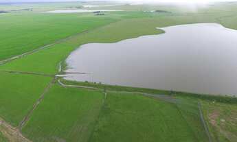 Imagem 4: Fazenda com 1767ha com 2 sedes Pecuária 1° e Plantio Arroz- Uruguaiana
