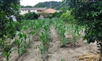 Imagem: Terreno de 466m² a venda em Faxinal do