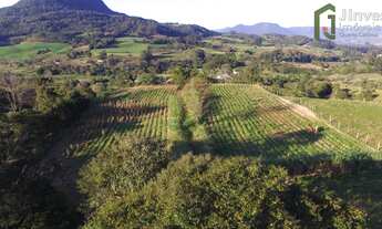 Imagem 2: Chácara 1 dormitórios à venda Centro Dona Francisca/RS