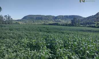 Imagem 2: Sítio no Sítio dos Mellos com 10 hectares de área total