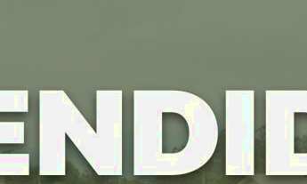 Imagem: Terreno em Santos Anjos