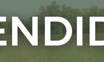 Imagem: Terreno à venda Centro Faxinal do Soturno/RS