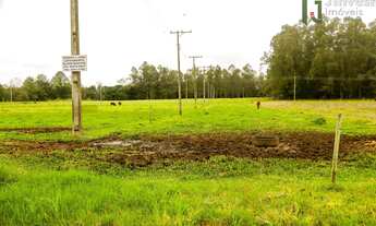 Imagem 3: Terreno em Santos Anjos