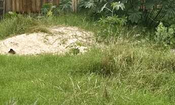 Imagem 2: Terreno 30x12 com construção iniciada a venda localizado acima da Brigada