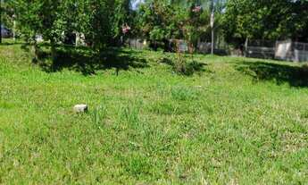 Imagem 7: Terreno à venda Centro Faxinal do Soturno/RS