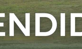 Imagem: Terreno à venda Centro Nova Palma/RS