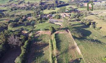 Imagem 3: Chácara 1 dormitórios à venda Centro Dona Francisca/RS