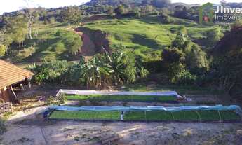 Imagem 7: Chácara 1 dormitórios à venda Centro Dona Francisca/RS