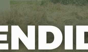 Imagem: Terreno a Venda em Nova Palma