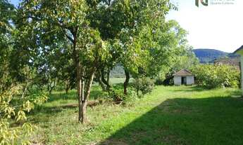 Imagem 7: Sítio no Sítio dos Mellos com 10 hectares de área total