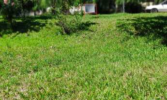 Imagem 6: Terreno à venda Centro Faxinal do Soturno/RS