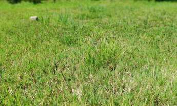 Imagem 5: Terreno à venda Centro Faxinal do Soturno/RS