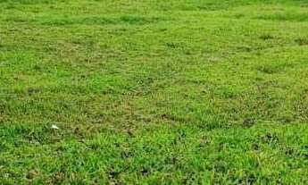 Imagem 2: Terreno à venda Centro Faxinal do Soturno/RS