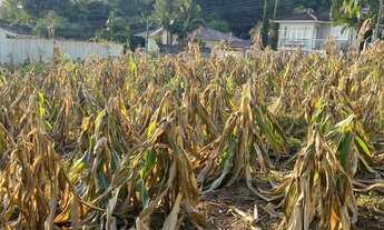 Imagem 2: Terreno para alugar Centro Faxinal do Soturno/RS