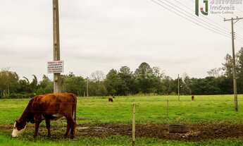 Imagem 4: Terreno em Santos Anjos