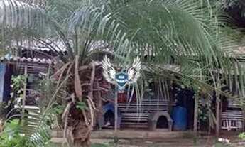 Imagem 7: CHÁCARA EM MAIRIPORÃ