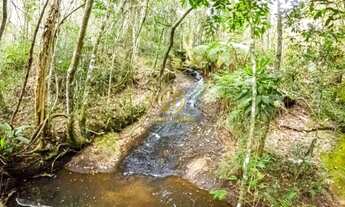 Imagem: Terrenos, lotes e condomínios à venda