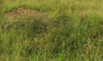 Imagem 3: Lote 481 m² no Residencial Santa Júlia – Camobi, próximo à UFSM!