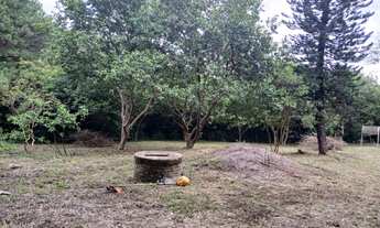 Imagem 6: Área - Cerrito - Sítio - Casa - Perto de Tudo