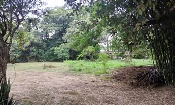 Imagem 4: Área - Cerrito - Sítio - Casa - Perto de Tudo