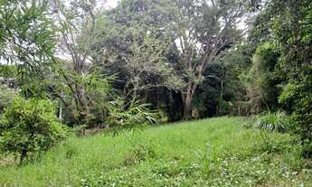 Imagem 2: Área - Cerrito - Sítio - Casa - Perto de Tudo