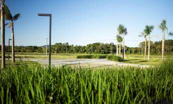 Imagem 7: Bairro Planejado - Terreno - Camobi - Arbo Village Park