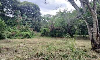 Imagem 5: Área - Cerrito - Sítio - Casa - Perto de Tudo