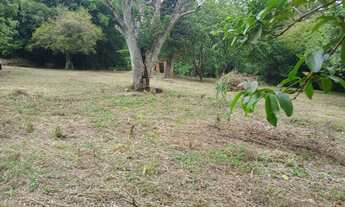 Imagem 3: Área - Cerrito - Sítio - Casa - Perto de Tudo