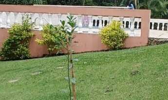 Imagem: Linda Chácara 3.200 m2- Bairro Bairrinho