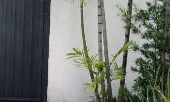 Imagem 6: Casa Comercial de 360m² no Pina – Ideal para Clínicas, Escritórios e etc..