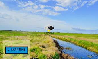 Imagem 4: Área Rural Fazenda em Camaquã RS 852 Hectares Lavoura e pecuária