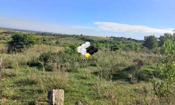 Imagem 7: Área Rural Fazenda Caçapava do Sul 307 Hectares Lavoura e Pecuária