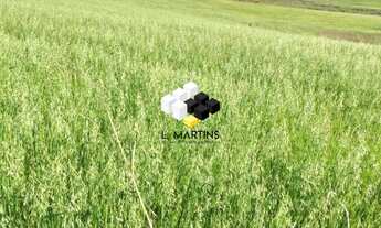 Imagem: Área Rural Fazenda a venda em Osório RS